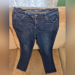 INC International Concepts Skinny Jeans 16W Petite Dark Wash